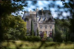 Château de Pitray, près de Saint Emilion